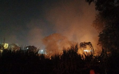 अर्वाचीन स्कूल के सामने अक्षरधाम कॉलोनी के पास गन्ने के खेत में लगी भीषण आग, जिला अस्पताल के पास भी खेत में लगी आग