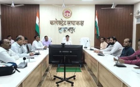 RIS  कलेक्टर ने राजनैतिक दलों के प्रतिनिधियों के साथ की  बैठक