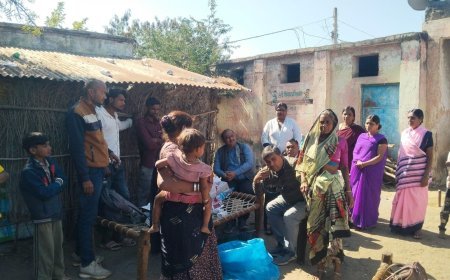 बुरहानपुर में चिकुनगुनिया बीमारी की दस्तक, मालवीर गांव में मिले संदिग्ध मरीज