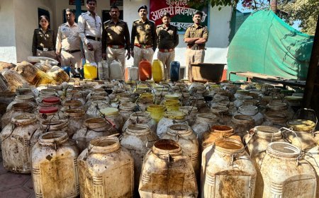 जैनाबाद बलवाड़ टेकरी मे दबिश, 70 लीटर हाथ भट्ठी, 3000 kg तैयार महुआ लहान जप्त