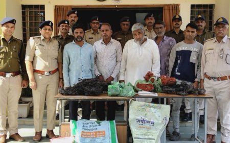 बिजली के ट्रांसफार्मर से क्वाईल चोरी के शातिर अंतरराज्यीय चोर गिरोह पकड़ाया