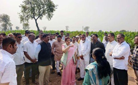 3 करोड़ की लागत से दापोरा माँ वाघेश्वरी मंदिर,धामनगांव मार्ग निर्माण कार्य प्रारंभ, अर्चना चिटनिस ने किया स्थल निरीक्षण