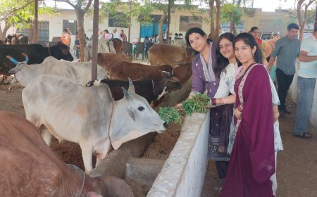 रोटरी क्लब बुरहानपुर द्वारा ग्राम झांझर में गौसेवा व कन्या भोज का आयोजन