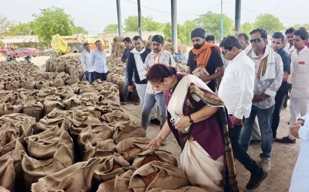 अर्चना चिटनिस ने कृषि उपज मंडी का किया निरीक्षण, 1.50 करोड़ के ग्रेडिंग-क्लीनिंग प्लांट कार्य की शुरुआत, किसानों को दी सौगात, “आदर्श मंडी बनाएंगे, शीघ्र बनाए प्रस्ताव