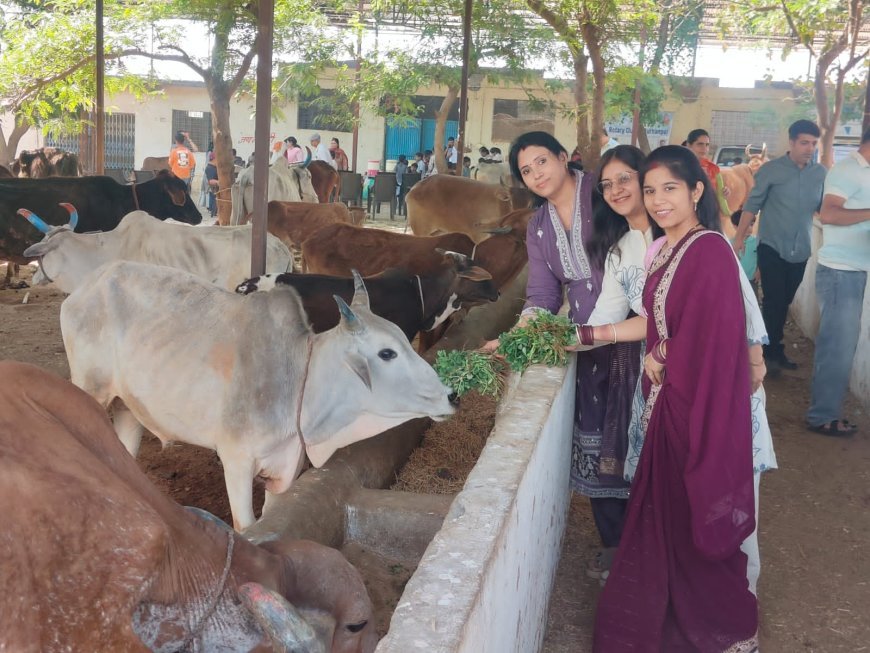 रोटरी क्लब बुरहानपुर द्वारा ग्राम झांझर में गौसेवा व कन्या भोज का आयोजन