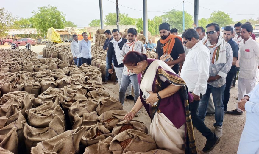 अर्चना चिटनिस ने कृषि उपज मंडी का किया निरीक्षण, 1.50 करोड़ के ग्रेडिंग-क्लीनिंग प्लांट कार्य की शुरुआत, किसानों को दी सौगात, “आदर्श मंडी बनाएंगे, शीघ्र बनाए प्रस्ताव